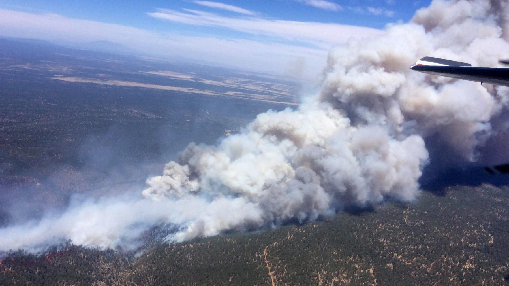 Arizona towns ordered to evacuate as wildfire grows